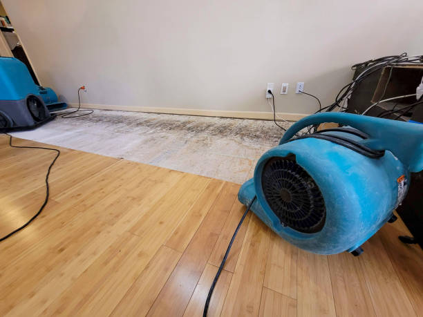 Professional Water Removal technician working in Steep Falls, ME